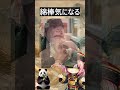 中国赤ちゃんがかわいい【中国動画解説】なぜ予防接種動画がバズるのか？