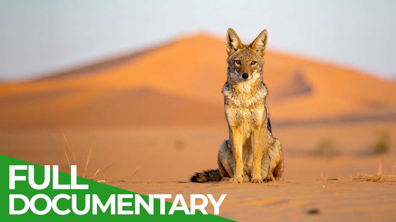 Desert Warriors: Nature's Ultimate Survivors (2025)