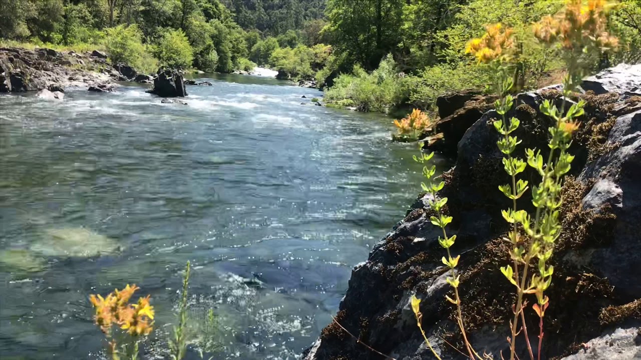 Salmon River Swim Hole YouTube
