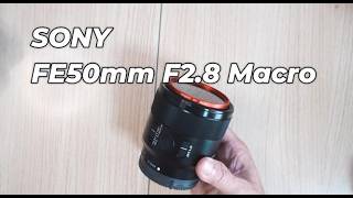 SONY α7CII】SONY FE50mm F2.8 MACRO review いちばん人気のないニッチ