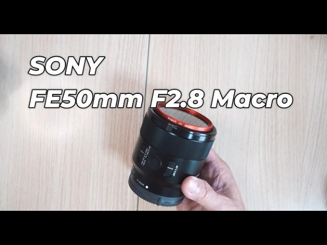 SONY α7CII】SONY FE50mm F2.8 MACRO review いちばん人気のないニッチ
