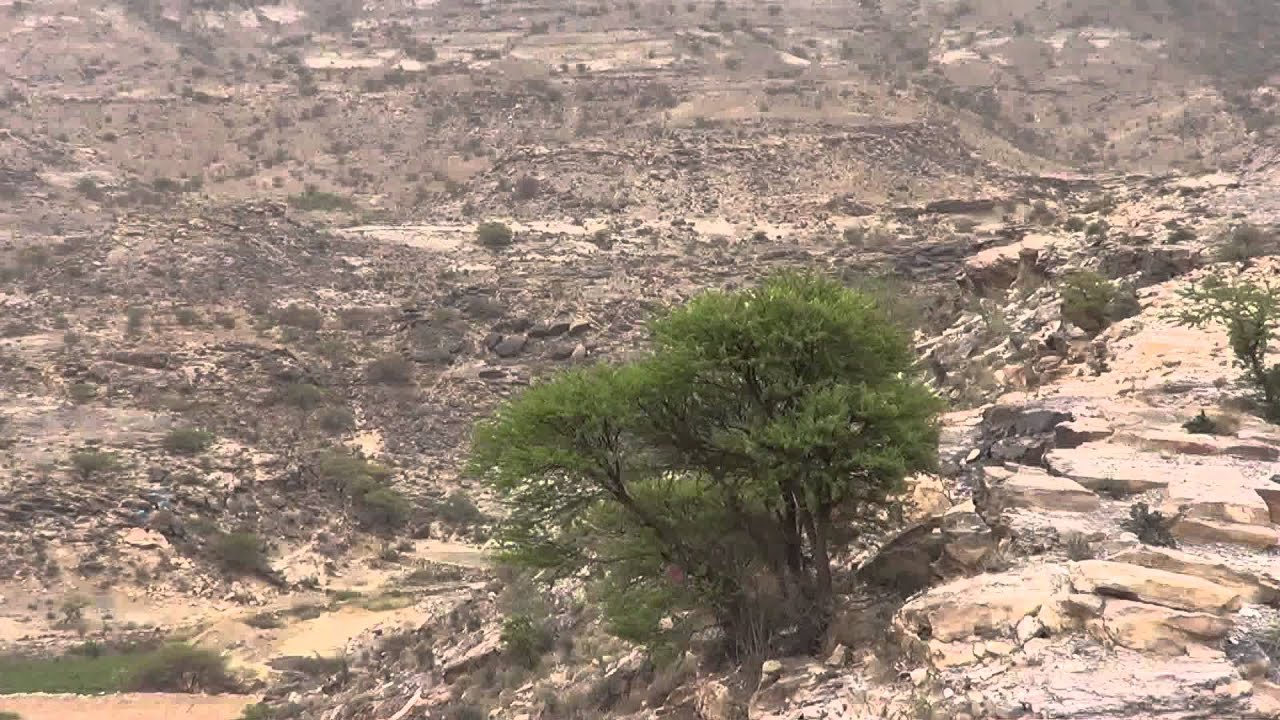 نقيل الشيم, في طريقنا الى خوبر لعقد القران لأخي