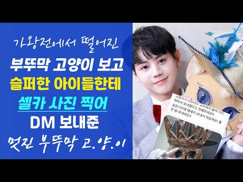 ep1. 아이들의 "동심" 지켜주기 위해 복면가왕이 끝난 후 "부뚜막 고양이 양요섭" 이 한 행동은?