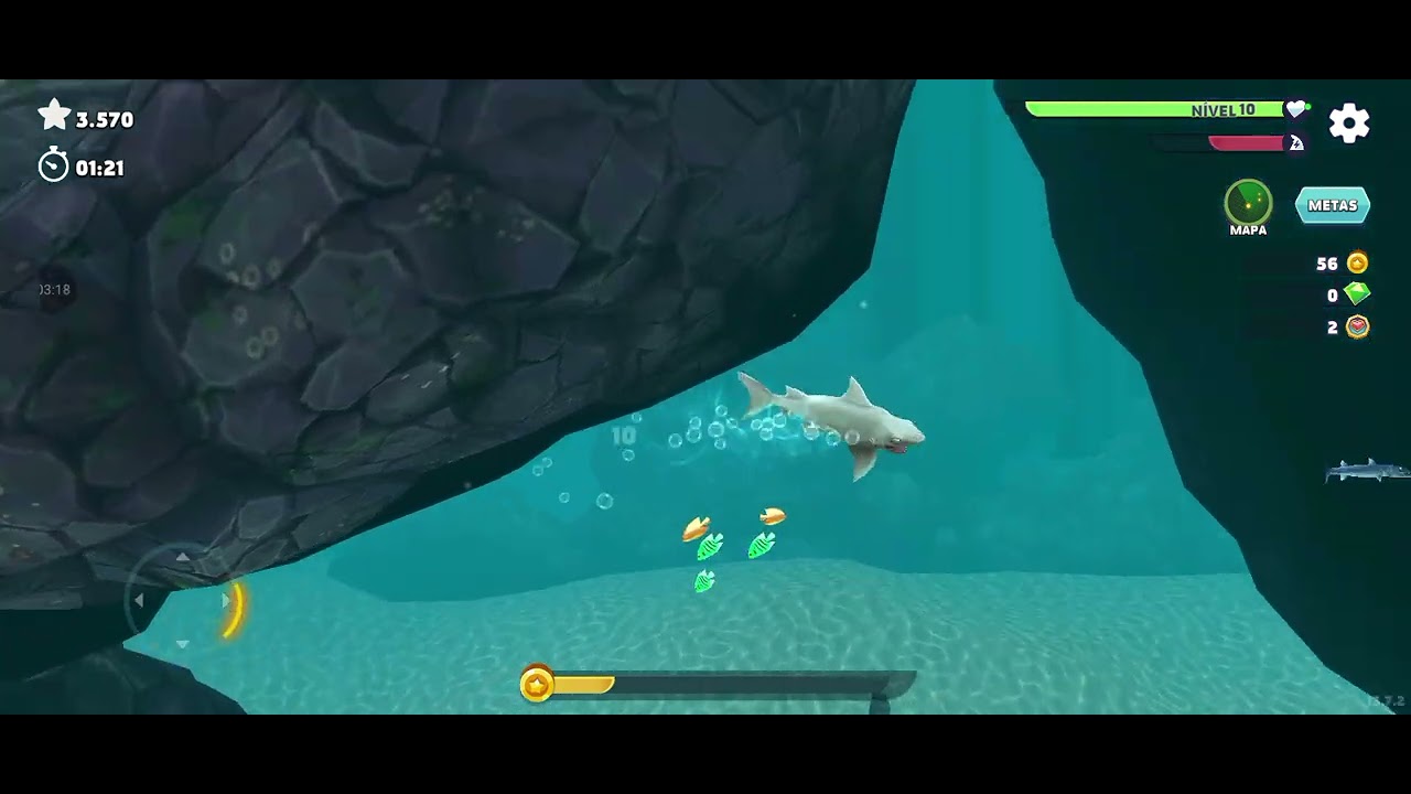 16 de fevereiro de 2026