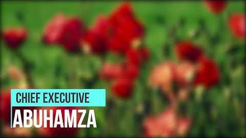 Elegant Clean Lower Third After Effects Template - Free Download | ArenaReviews