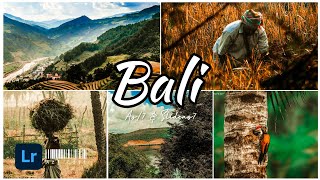 Bali Rice Terrace - Lightroom Mobile Presets | Bali Presets | Bali Lightroom | Az7 Edit | screenshot 3