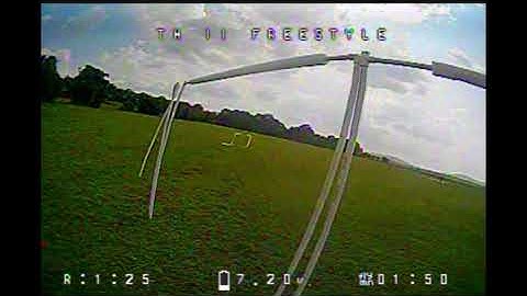 Tinyhawk Freestyle II - FPV Race Practice 8.16.2929