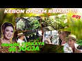 #EPS01 TANAMAN SOIMAH | INTIP KEBUN DALAM RUMAH SOIMAH