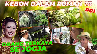 #EPS01 TANAMAN SOIMAH | INTIP KEBUN DALAM RUMAH SOIMAH