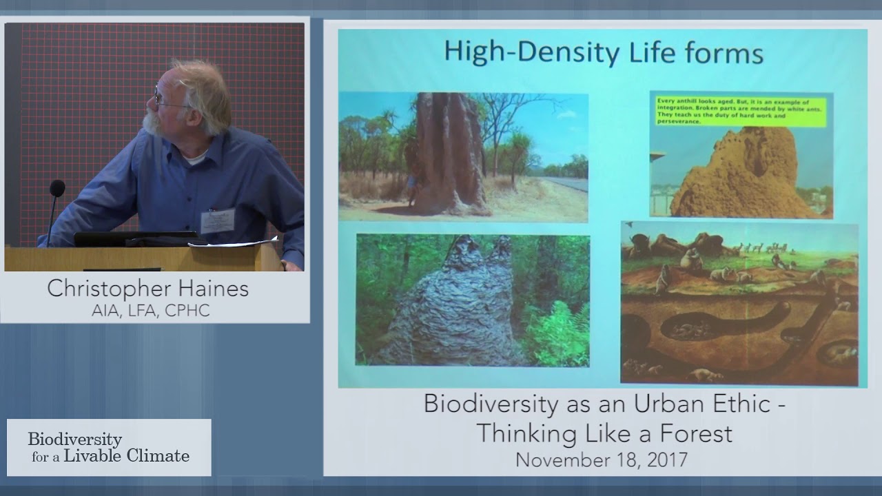 Biodiversity as an Urban Ethic: Thinking Like a Forest with Christopher Haines