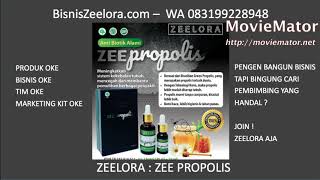 Informasi Resmi Bisnis Zeelora Indonesia - WA 083199228948