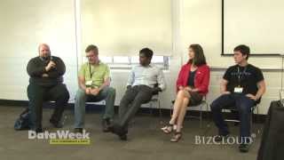 Too Big to Fail - Big Data and Security Panel @ DataWeek 2013