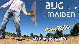 “Bug Lite” - Maiden Flight
