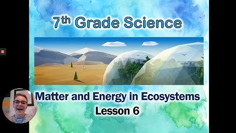 Matter and Energy in Ecosystems: Lesson 6