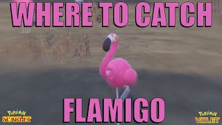 Where to Catch Flamigo in Pokemon Scarlet and Violet