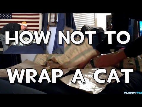 how-to-wrap-a-cat-for-christmas