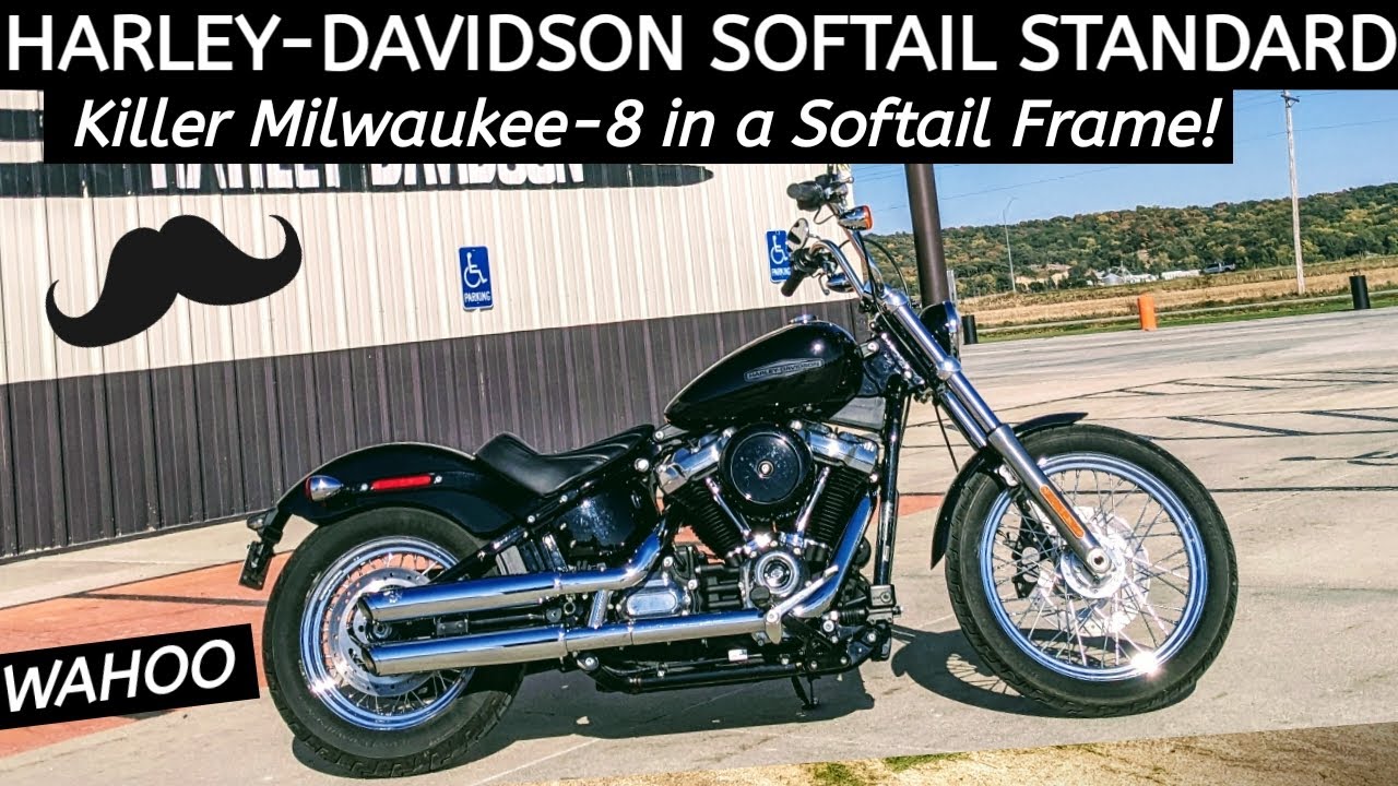 H-D Softail Standard - Traditional Sportster Replacement or Starter Big Bike?