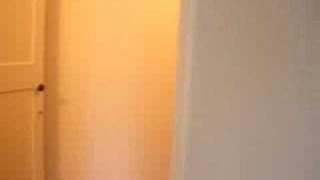 Lynnwood Apartments 101
