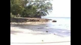 Download lagu Eno Karang