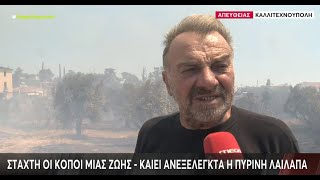 EviaZoom.gr - Κάτοικος της Καλλιτεχνούπολης: «Ούτε ένα πυροσβεστικό, ντρέπομαι που είμαι Έλληνας...»