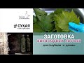 Как заготовить виноградные листья для голубцов и долмы? Легкий (сухой) способ заготовки листьев