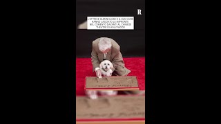 L'attrice Glenn Close e il suo cane hanno lasciato le impronte nel cemento a Hollywood