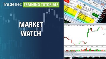 Tradenet training tutorials for the TEFS platform - Market watch