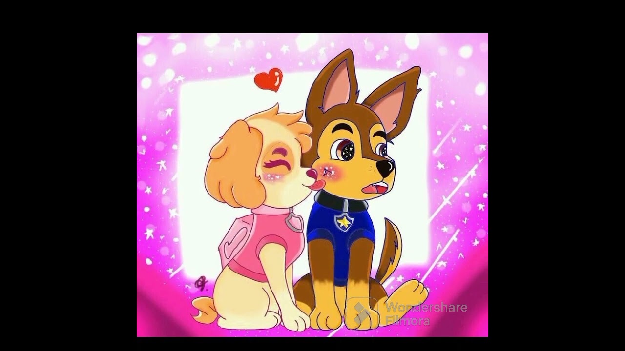 Marshall x Everest x chase x skye 🐶😍