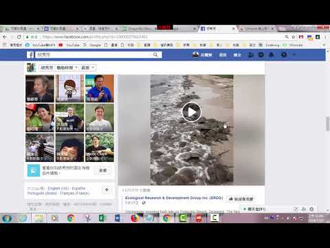 下載Facebook的影片-Chrome 擴充功能