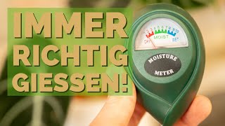 Pflanzen immer richtig gießen: Bodenfeuchte-Tester statt Gießanzeiger
