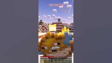 What is the most useless feature in Minecraft?