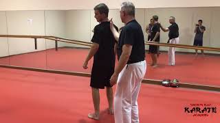 Flinch Response Bunkai Drill for Pinan Shodan