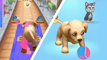 Pet Run Games 🐶🙆‍♂️ All Levels Gameplay  Android IOS walkthrough Mobile Gameplay