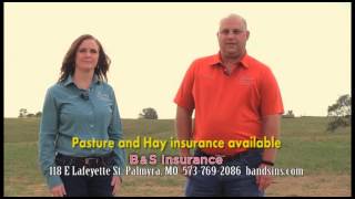 B&S Insurance Pasture and Hay Insurance