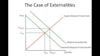 Famous MarketFailures SilzCarson Net Worth