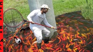 FISH with NO OXYGEN! **PUDDLE FISHING during FLOOD WATERS**