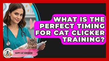 What Is The Perfect Timing For Cat Clicker Training? - Happy Cat Handbook