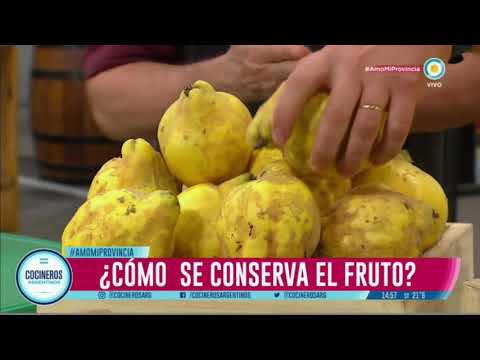 Video: Cocinar con membrillo: conozca los diferentes usos de la fruta de membrillo