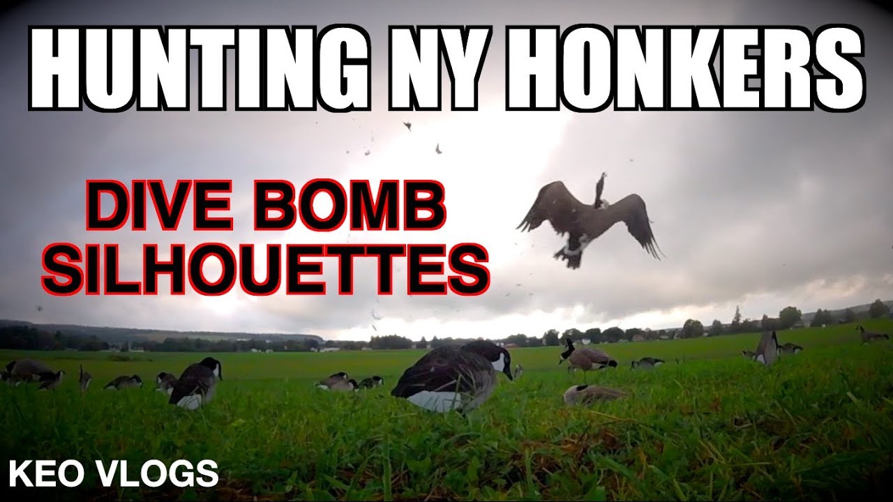 Goose Hunting Western New York YouTube