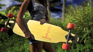 Famous Mister Nik Sharp - Pacific Coast Highway Profile