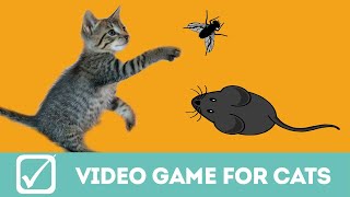 Video gioco per gatti, il topo e la mosca (con suono!)
