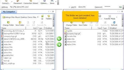 Managing files in WS FTP