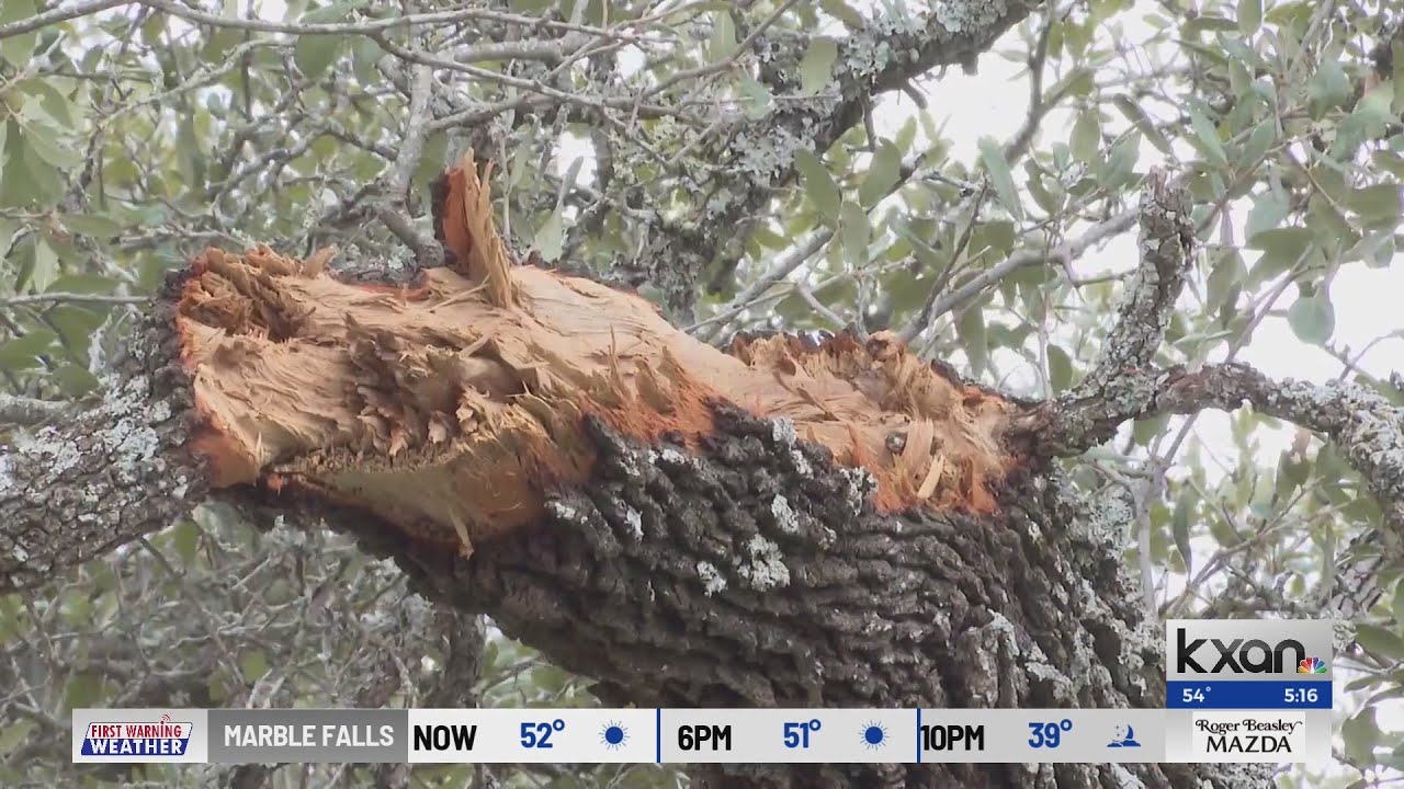 Williamson County boosts efforts to get rid of ice storm debris - YouTube