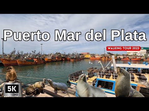 【5K】Recorriendo PUERTO MAR DEL PLATA 2023 | TEMPORADA BAJA | Que sucedió con los Lobos Marinos??