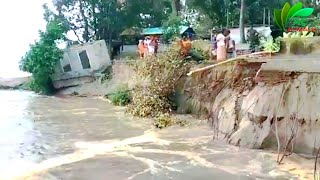 সিরাজগঞ্জে যমুনা নদীর ভয়াবহ ভাঙ্গন। Sirajganj jamuna river erosion