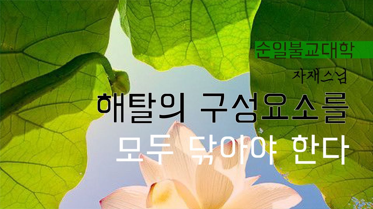 해탈의 구성 요소를 모두 닦아야 한다(M24) - 자재스님 - YouTube