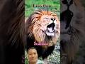 #lion #lionnation #lionking #animals #bigcat #wildtv #edmdj #funny #edms #musicproducer