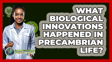 What Biological Innovations Happened In Precambrian Life? - Earth Science Answers