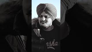 Happy Birthday #sidhumoosewala saade pind baliye sidhu moosewala #shorts