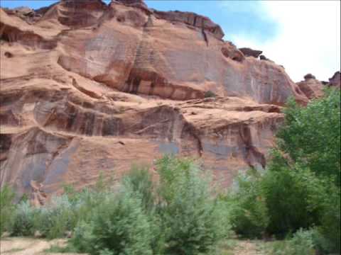 Arizona Snapshots, Music from Spirited Away(Joe Hi...